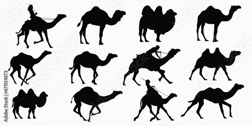 Silhouette set of Desert Camel with humps standing, running and walking.
 photo