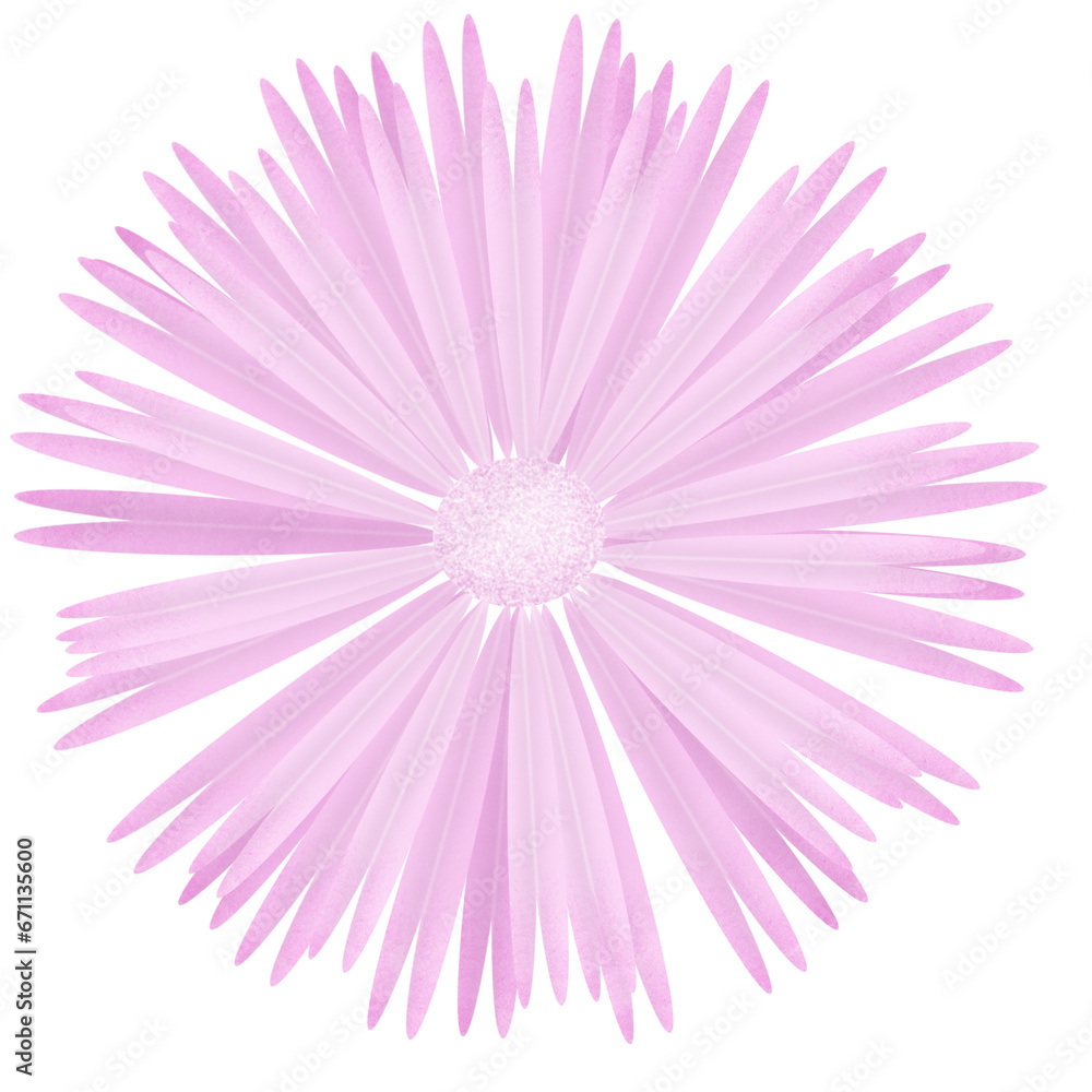 pink gerber daisy with background