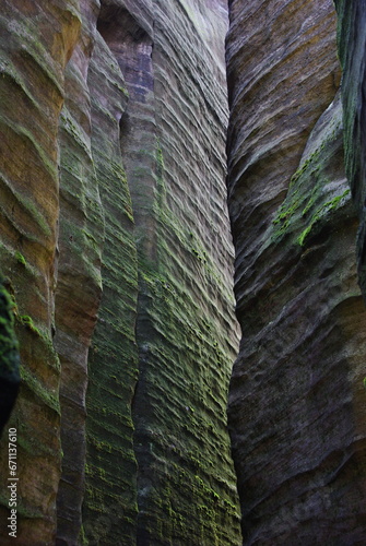 stone wall with moss