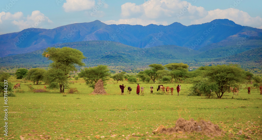 Massai Village in Ngorongoro crater in Tanzania - obrazy, fototapety, plakaty 