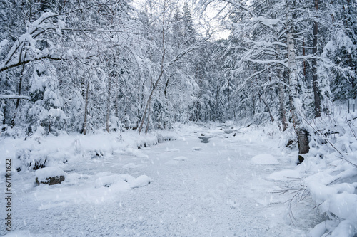 Beauty winter landscape wit...