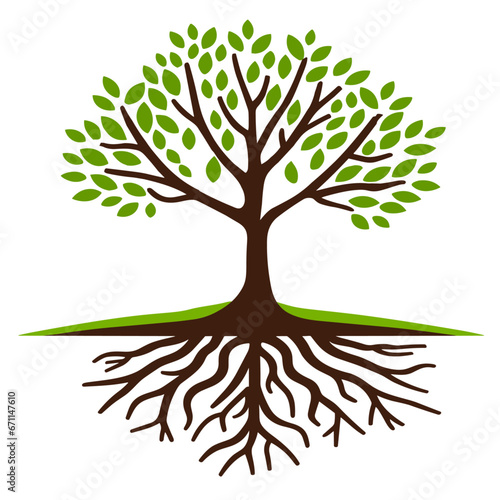 Green Tree with Roots. Vector Illustration
