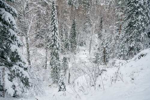 Winter landscape with fair ...