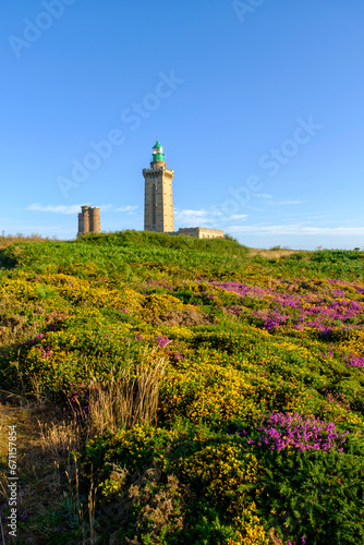 fields of heather and broom in front of the lighthouse at Cap Fréhel, a peninsula in Côtes-d'Armor, in northern Brittany, France © hectorchristiaen