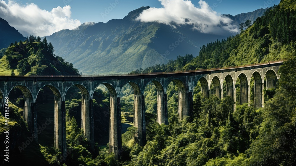 Fototapeta premium bridge over the river