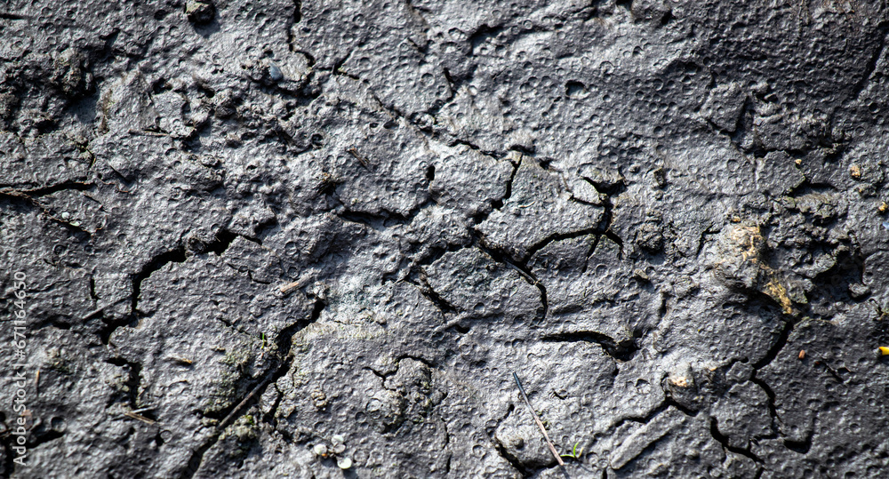 background of cracked black earth, dirt background of cracked black earth, dirt