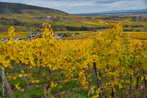 Weinberge bei Rodern im herbstlichen Elsass photo