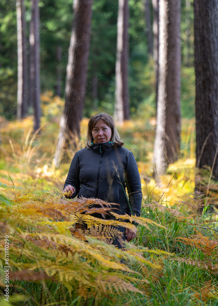 Portrait of a middle-aged woman in an autumn forest among yellow ferns. Portrait of a middle-aged woman in an autumn forest among yellow ferns.