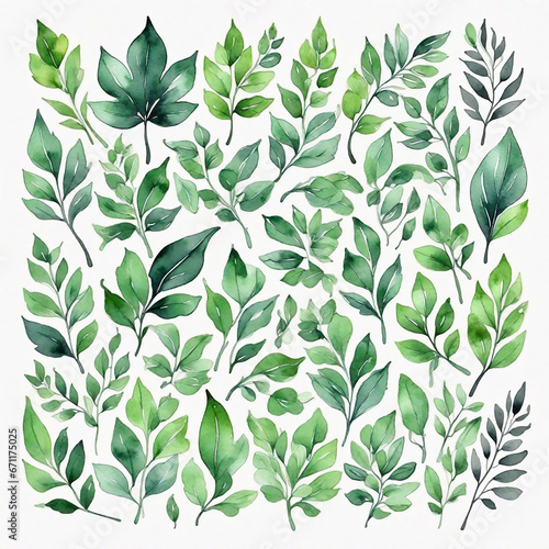 Watercolor set of green leaves. Hand drawn illustration isolated on white background.