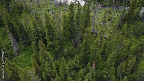 Aerial Footage of Mountain River, Montana, Summer