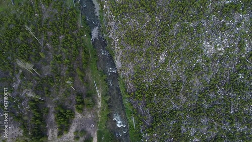 Aerial Footage of Mountain River, Montana, Summer