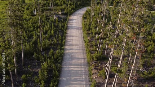 Aerial Footage of Dirt Road in the Mountains at Sunset, Montana, Summertime
