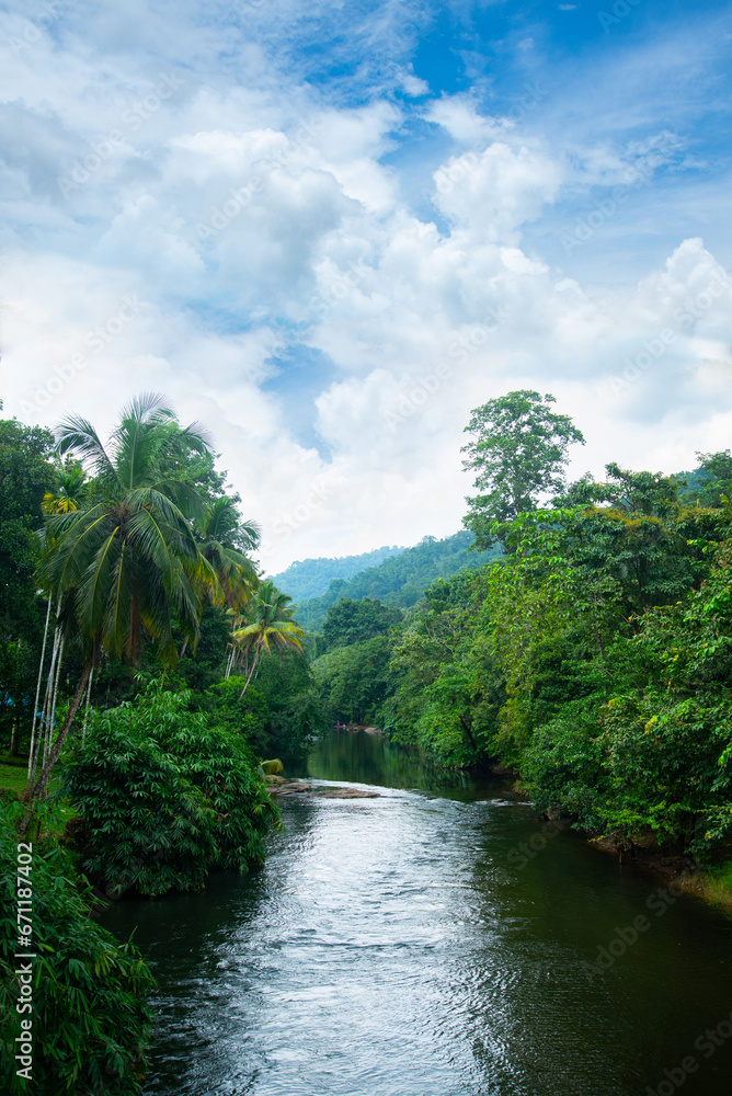 The stream flowing through the green forest against the clear blue sky is a sight to behold, A beautiful Kerala village