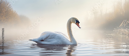 A lake where a Mute Swan is taking a bath © 2rogan