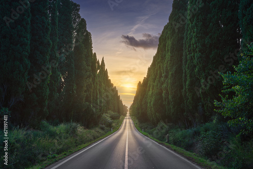 The cypress tree-lined avenue of Bolgheri and the sun in the middle. Maremma, Tuscany, Italy photo