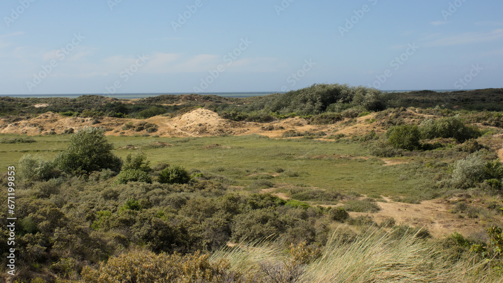 the dunes of `De Westhoek` nature reserve, De Panne, Belgium