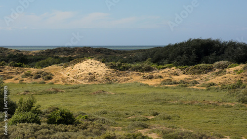 the dunes of  De Westhoek  nature reserve  De Panne  Belgium