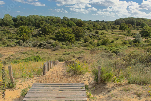 Fototapeta Naklejka Na Ścianę i Meble -  Hiking trail thorugh the dunes of `De Westhoek` nature reserve, De Panne, Belgium