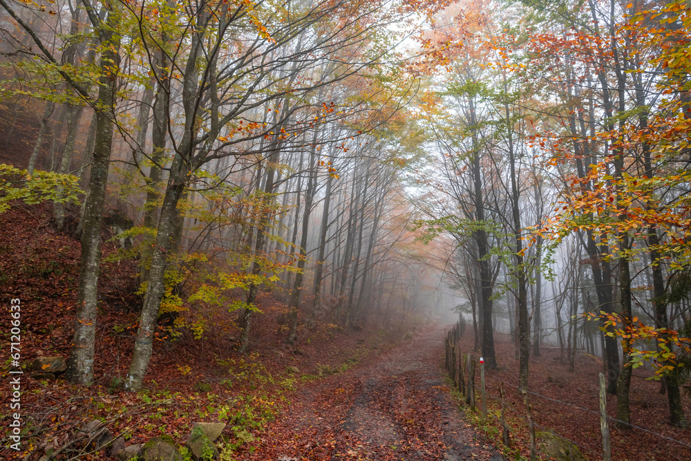 Obraz premium Fall foliage in Italian appenines.