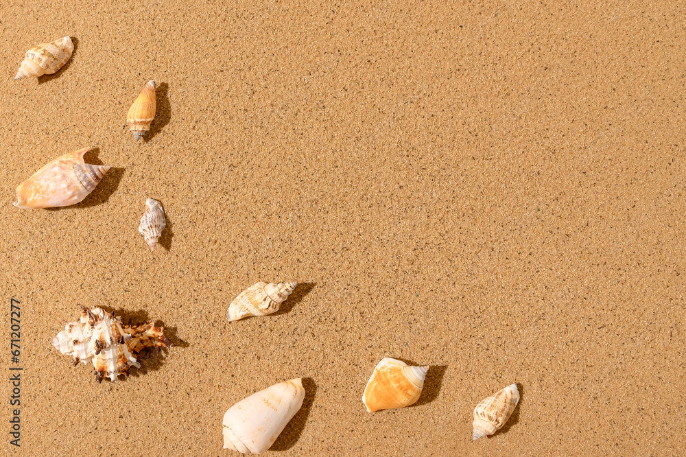 Seashells on the sand. View from above. Place for text. Seashells on the sand. View from above. Place for text.