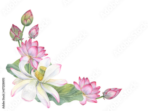 Frame of blooming lotus flowers, buds, leaves. White and pink Water lilies, Indian lotus, green leaf, bud. Space for text. Watercolor illustration for greetings, package, label, invitation