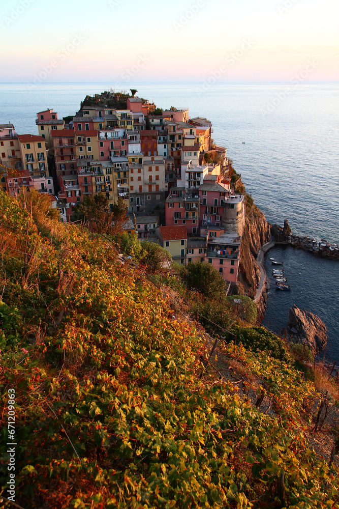 The village of Manarola under steep vineyards seen from above on a late October afternoon (Cinque Terre, Liguria, Italy)