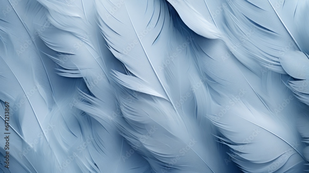 background of feathers close up. background of feathers close up.