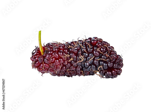 mulberry transparent png