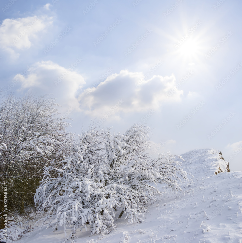 winter snowbound mountain covered by forest at the sunny day winter snowbound mountain covered by forest at the sunny day