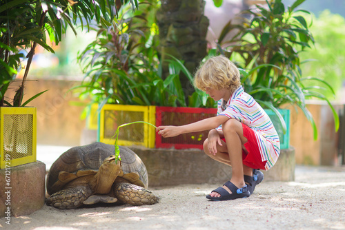 Canvas Print Kids feed animals at petting zoo.