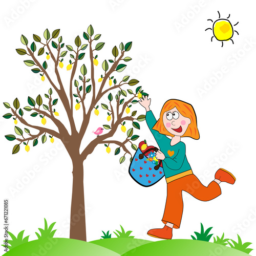 Niña cogiendo limones del limonero.