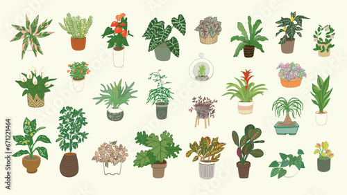 Home interior plants vector illustrations set.