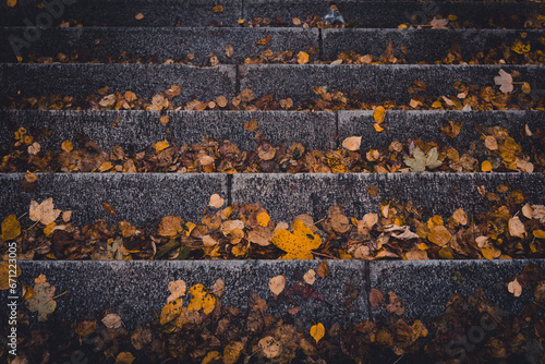 yellow leafs on concrete stairs