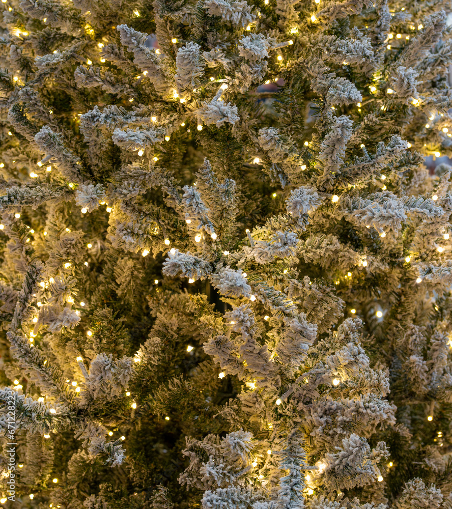 Close up on Christmas tree with snow and light Close up on Christmas tree with snow and light