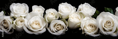 White roses on a black background. Bouquet of white roses. generative AI.