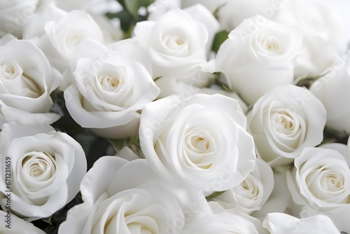 Beautiful white roses as background  closeup. Floral design. generative AI.