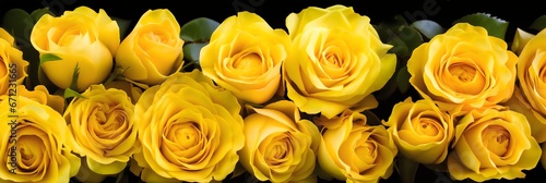 Beautiful yellow roses on a black background. Close-up. Generative AI.