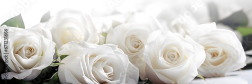 Beautiful bouquet of white roses on a white background close up. generative AI.