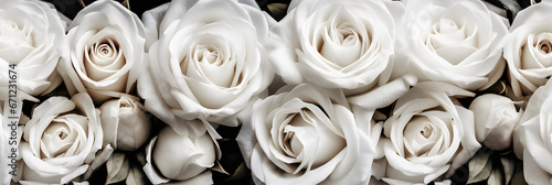 Beautiful white roses as a background, panoramic image. generative AI.