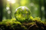 Green Globe In Forest Moss