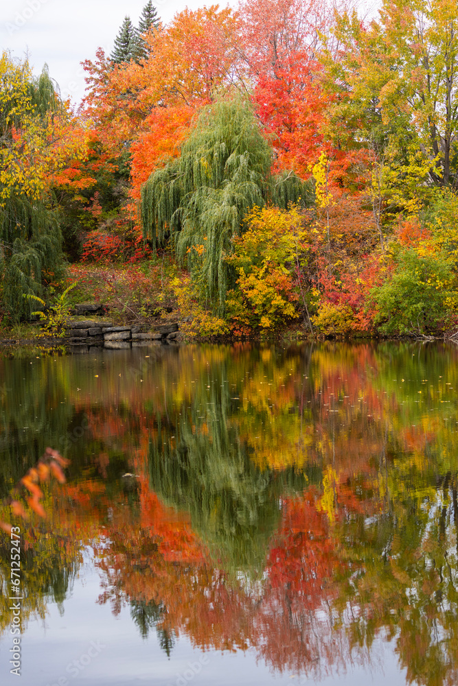 Autumn in Oka national park, Canada