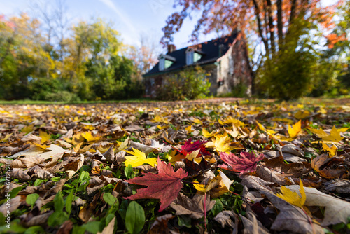 Fototapeta Naklejka Na Ścianę i Meble -  Traditional Canadian house in autumn