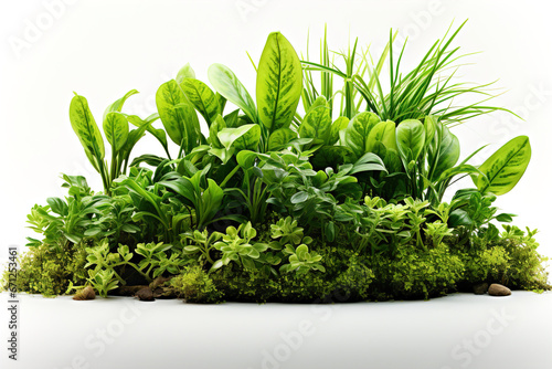 A group of plants and grass that are growing out of dirt. White isolated cutout design element.