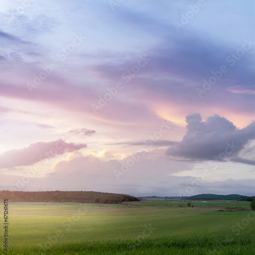 Sunset over the field with blue and magenta sky © Fatima Shk