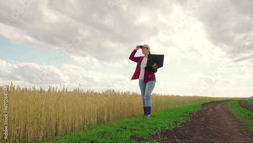 Farmer woman with computer tablet in green corn field. Farmer in corn field works with computer, Business Farm. Agriculture concept. Modern digital technologies. Agronomist on farm, Worker working