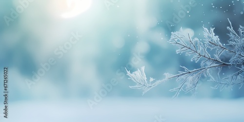natural snow background with pine branch