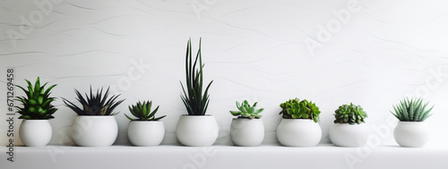 plant growing in a glass 
