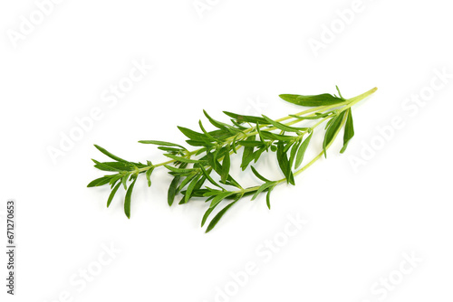 A bunch of garden savory or summer savory (Satureja hortensis)