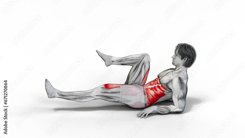 Elevated Cycling-3D (006)- Anatomy of fitness and bodybuilding with ...