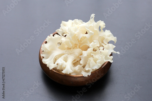 Cauliflower mushroom or cauliflower fungus